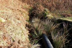 
The middle period of the Swffryd levels, January 2011